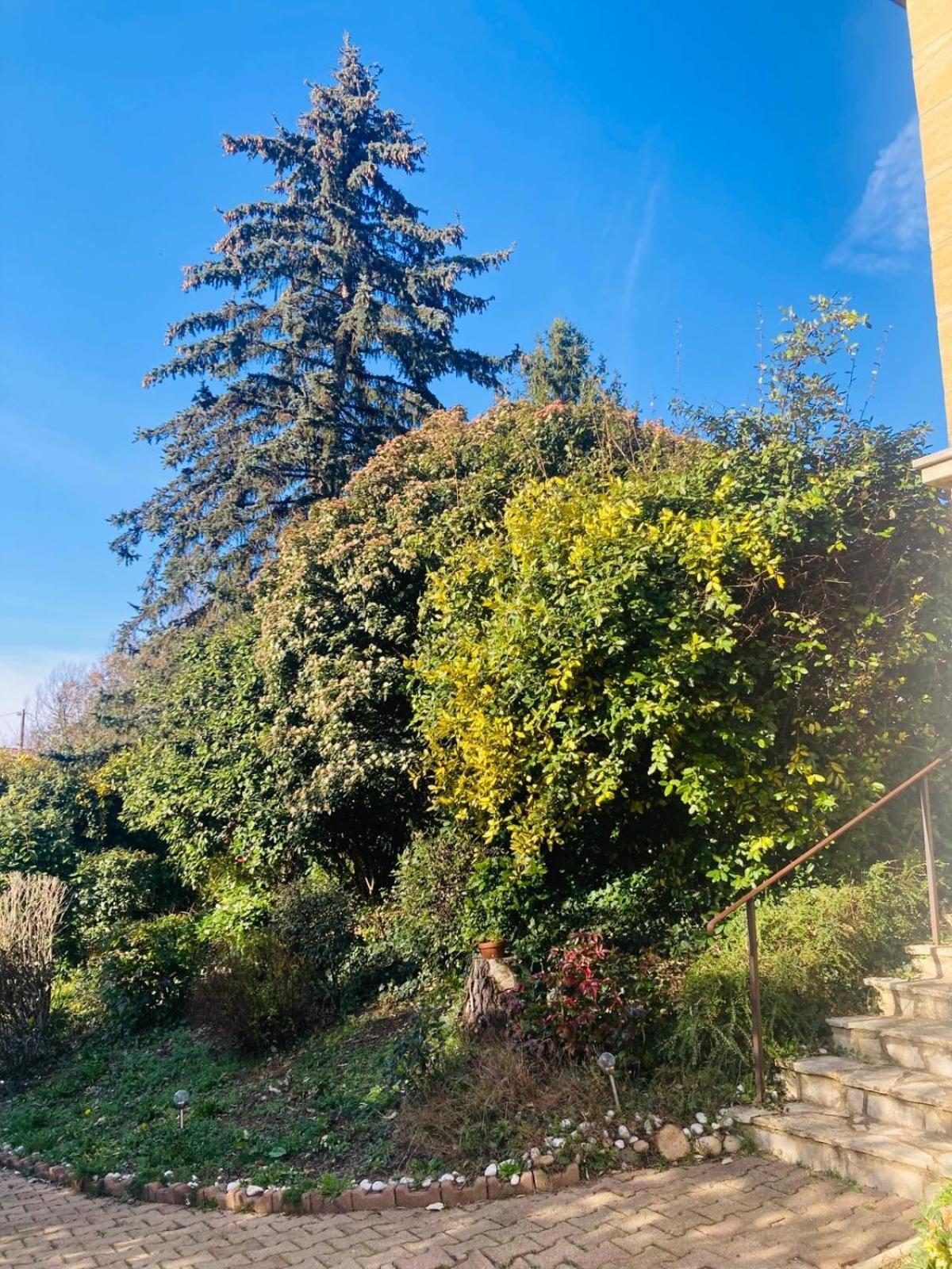 La Petite Noix Appartement Sarlat-la-Canéda Buitenkant foto