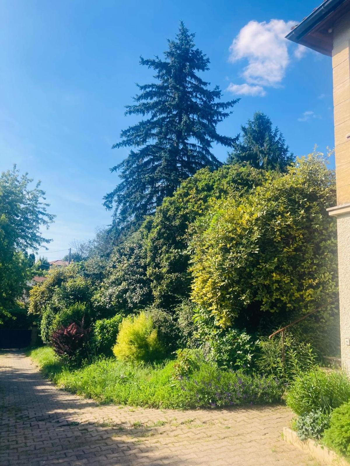 La Petite Noix Appartement Sarlat-la-Canéda Buitenkant foto
